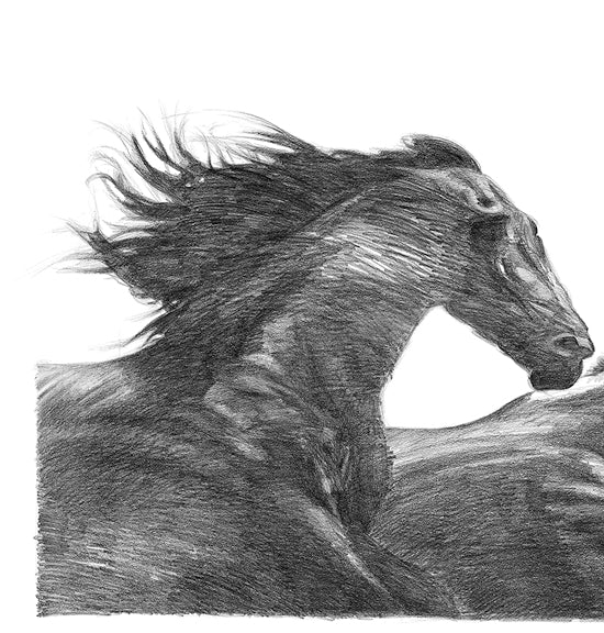 The Wind Horses - Canvas