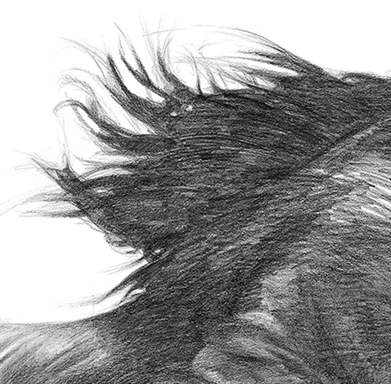 The Wind Horses - Canvas