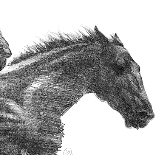 The Wind Horses - Canvas