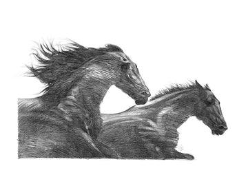 The Wind Horses - Canvas